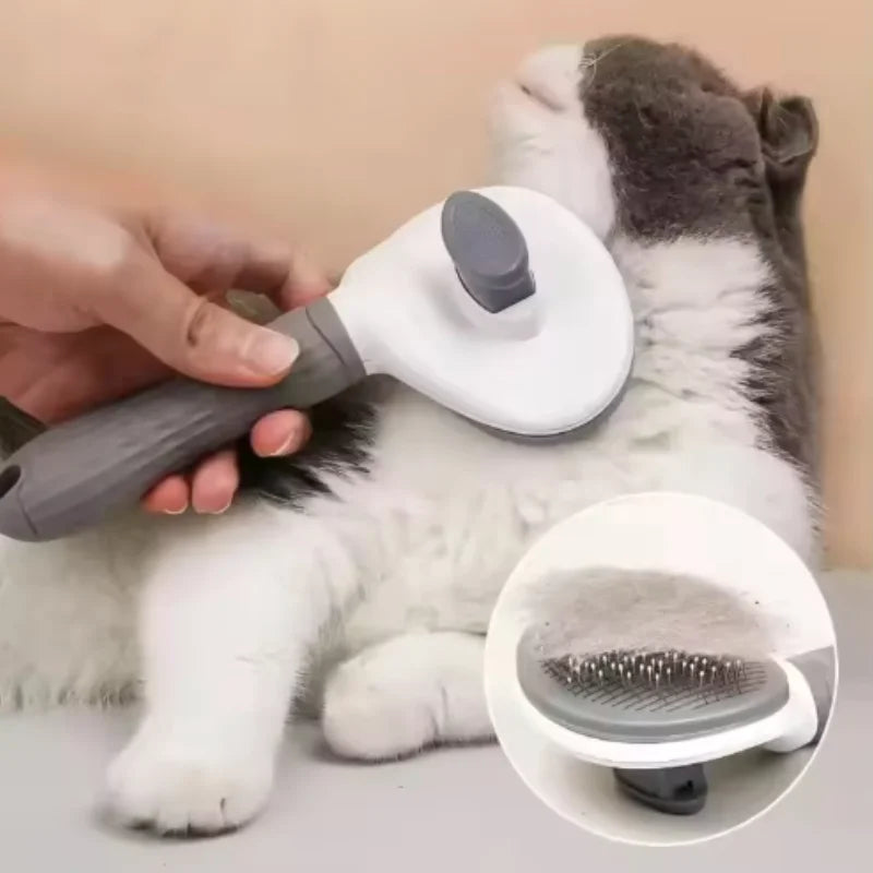 Brosse Anti-Poils Chien — Pelage Sain & Sans Nœuds