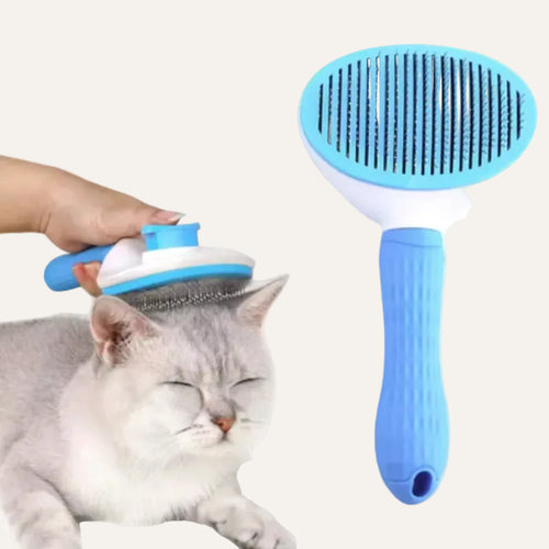 Brosse Anti-Poils Chien — Pelage Sain & Sans Nœuds