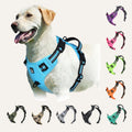 Harnais Chien Anti-Traction — Confort & Sécurité