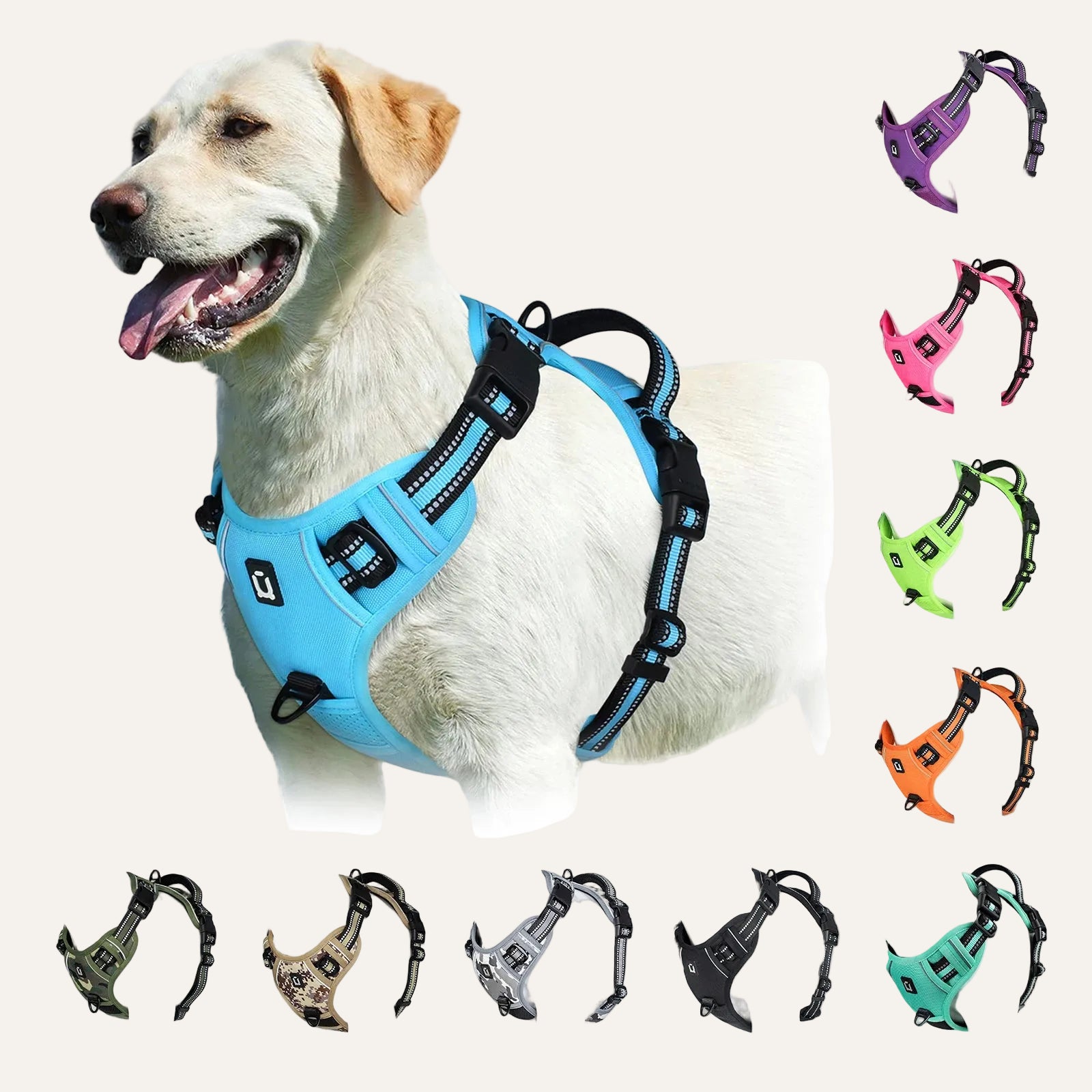 Harnais Chien Anti-Traction — Confort & Sécurité