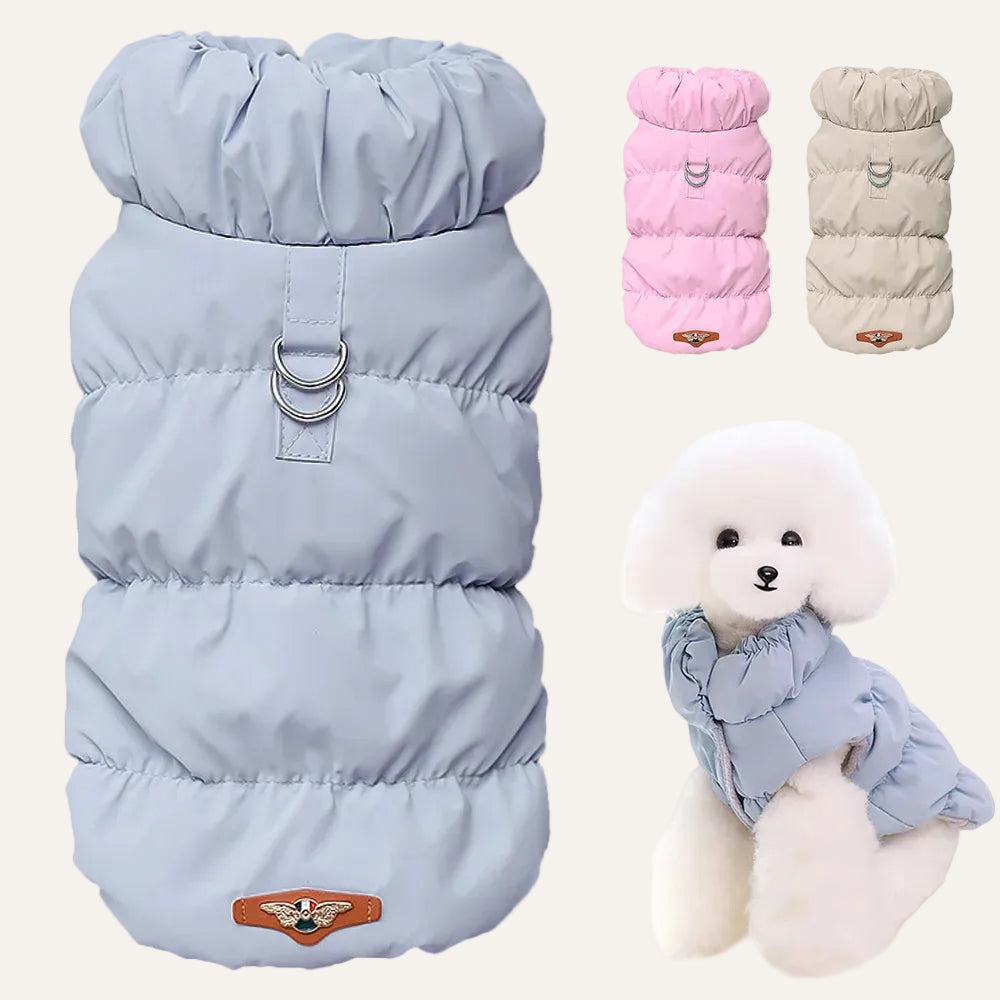 Manteau Chien Imperméable Hiver — Chaud & Résistant