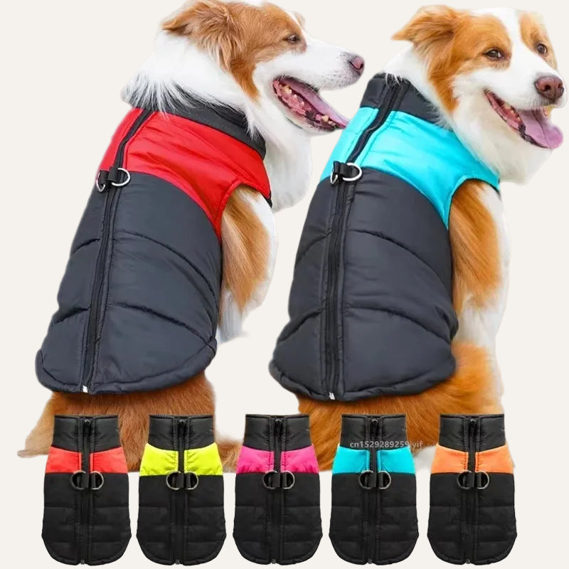 Manteau Chien Imperméable Hiver — Chaud & Résistant